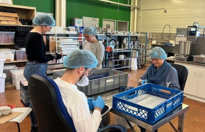 Dans l’Eure, Optimale Cosmétalogie Innovation fabrique des produits fabriqués en Normandie