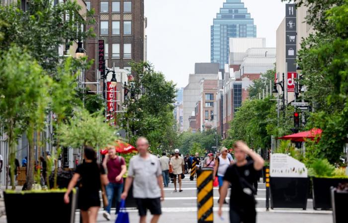 Sainte-Catherine Ouest | La piétonisation de la discorde