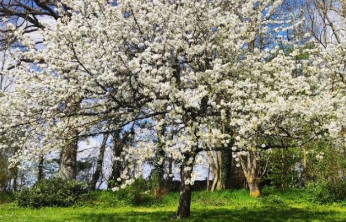 Non à l’implantation d’un parc photovoltaïque à Sébécourt ! Oui à la préservation de notre environnement naturel !