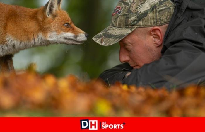 Face à face entre Maxime Bachely, photographe animalier de Maubray, et un renard