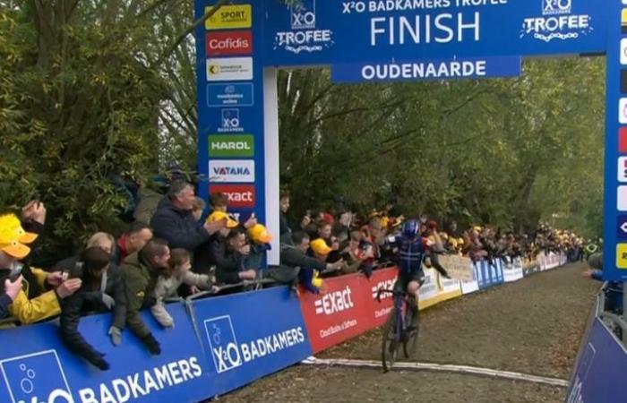 Vélo. Cyclo-cross – Lars van der Haar domine facilement le Koppenbergcross