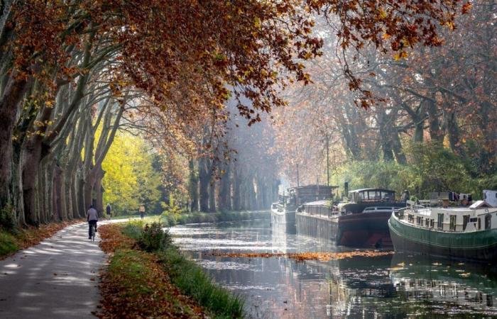 Foire de Colombette, brocante, Halle des Machines… Que faire à Toulouse ce long week-end ?