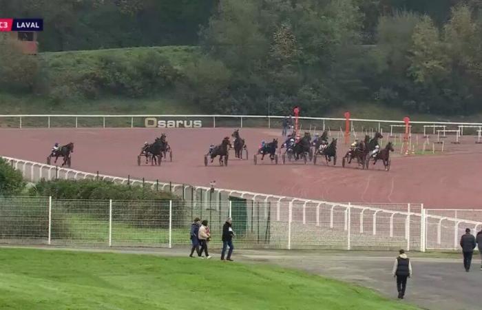 PRIX CREDIT AGRICOLE – ANJOU MAINE – LAVAL – 01/11/2024 : partants, pronostics et résultats en vidéo – Course 3