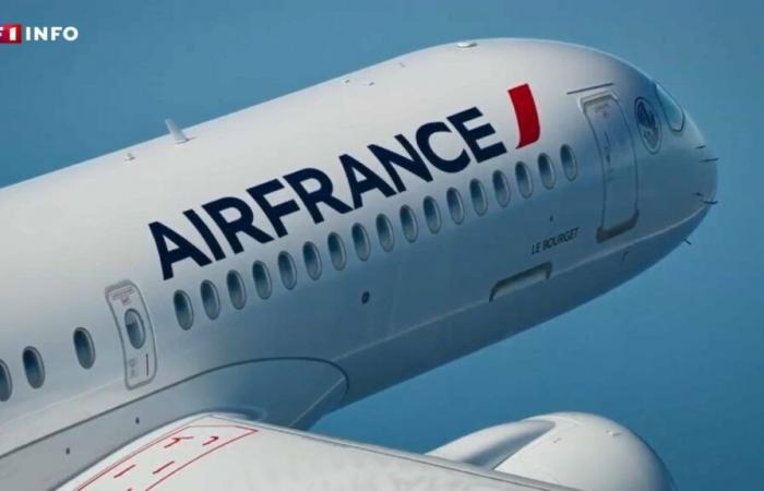 Air France applique une surtaxe avant même que la loi ne soit votée