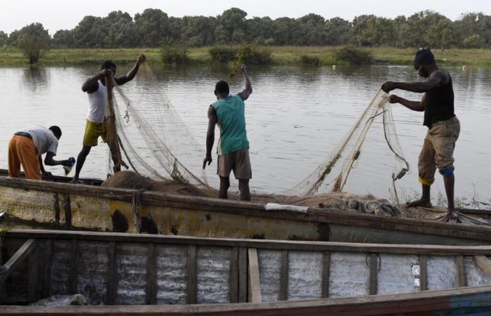 Des sources locales accusent l’armée tchadienne d’avoir tué par erreur des « dizaines » de pêcheurs au Nigeria