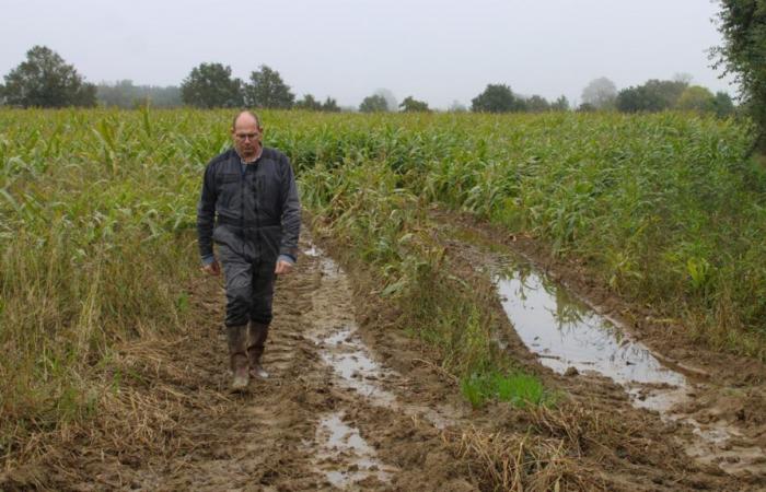 une année 2024 « catastrophique » pour les agriculteurs