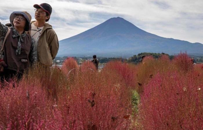 Japon. Mais où est passée la couverture neigeuse du mont Fuji ?