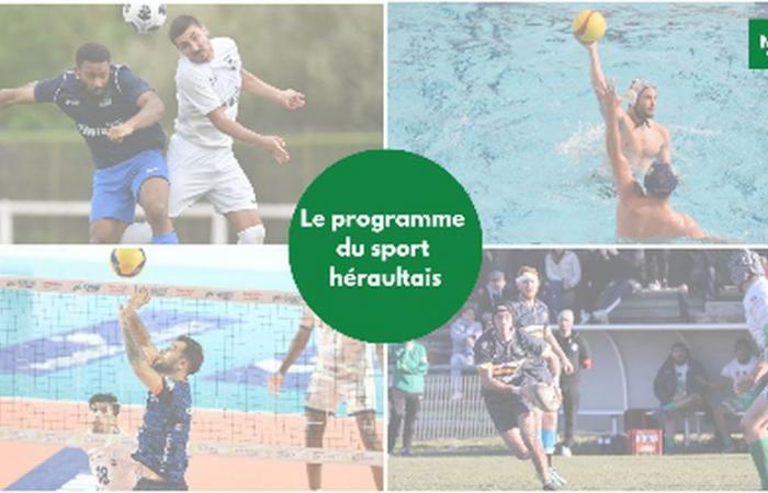 Coupe de France, force athlétique, volley… Demandez le programme des clubs héraultais ce week-end