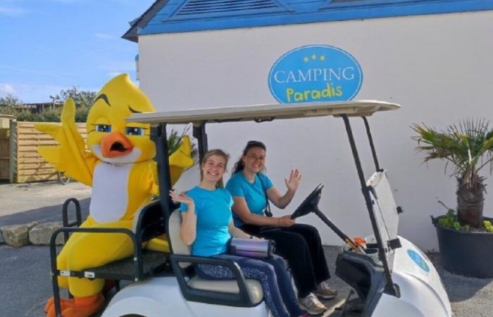 Emploi. Camping Paradis recrute des animateurs dans le Nord