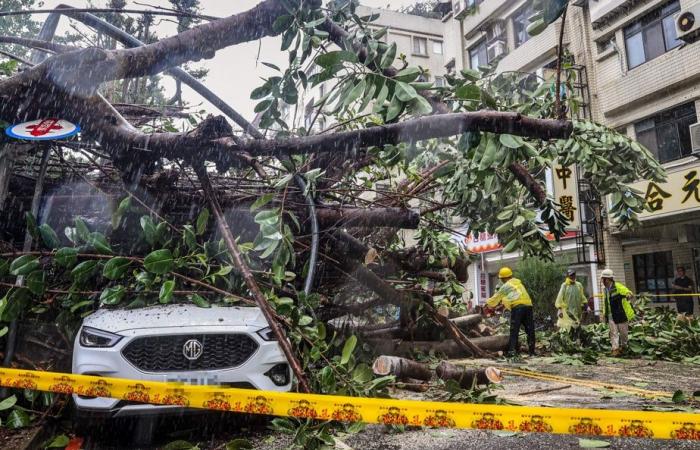 Le typhon Kong-rey fait deux morts et plus de 500 blessés