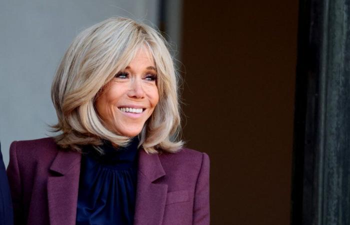 Villa avec piscine, guerre entre voisins… Brigitte Macron embarrassée, son neveu fait parler de lui