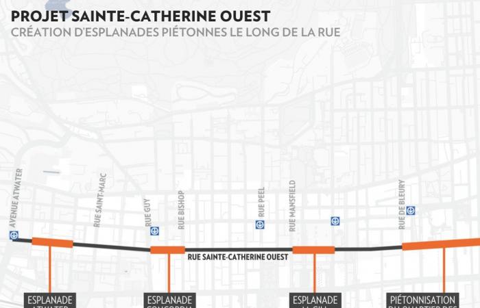 Sainte-Catherine Ouest | La piétonisation de la discorde