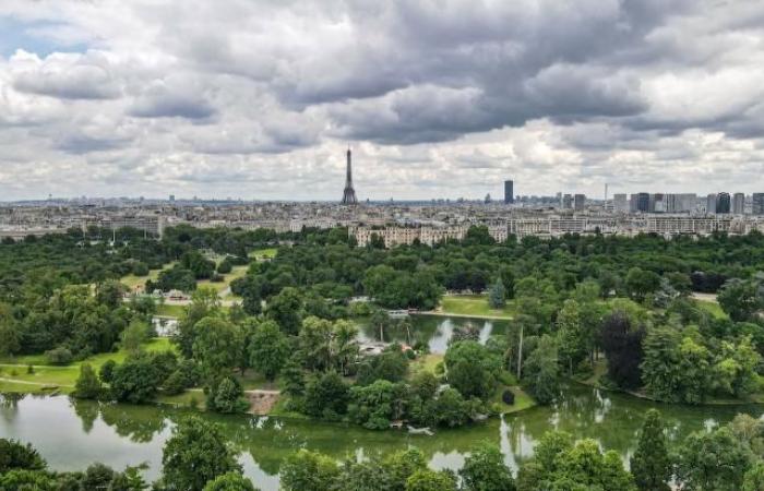 Comment investir dans les Hauts-de-Seine ?