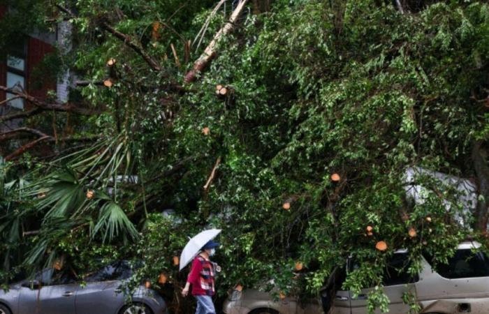 deux morts et plus de 500 blessés après le passage du typhon Kong-rey