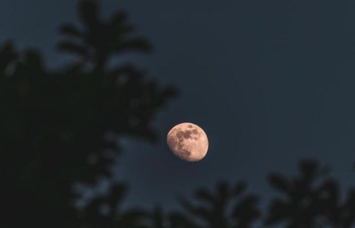 La nouvelle lune du 1er novembre aura un grand impact sur ces signes