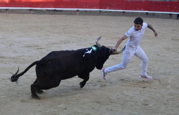 Un siffleur haut de gamme lors de la finale au top du Main d’Or