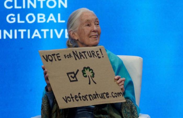 Dans les Côtes-d’Armor, une réserve faunique du nom de Jane Goodall, icône de la biodiversité