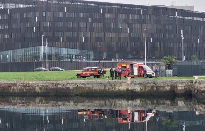 Le Havre. Un corps retrouvé dans le bassin Vauban