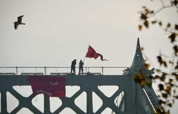 le dernier militant détenu libéré