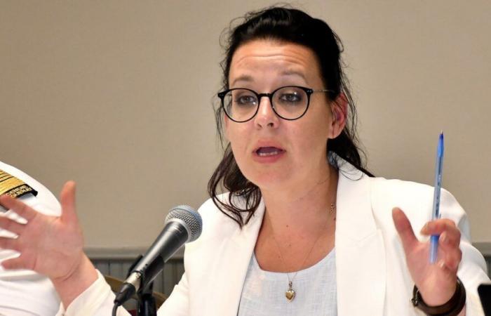 La mairesse de Saguenay prête à assumer ses frais de justice… si elle perd