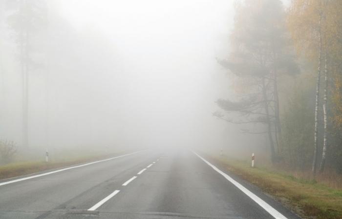 le brouillard cédera-t-il la place à des clairières ?