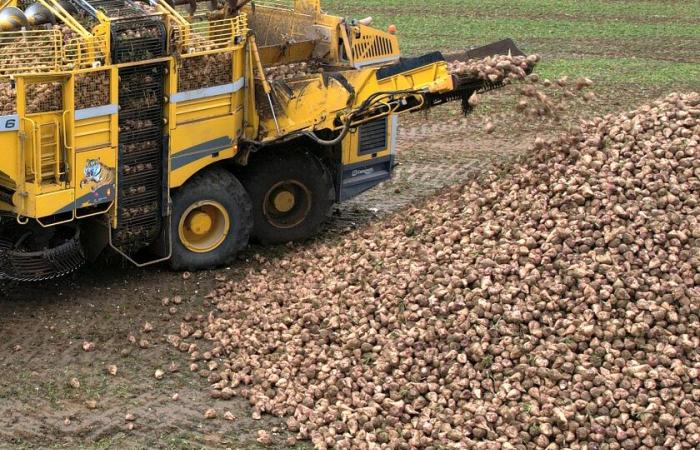 La richesse stagne et l’écart de rendement se creuse