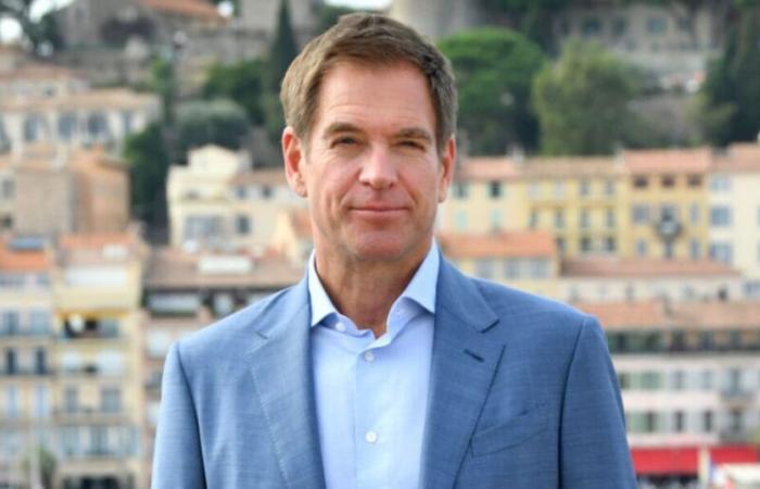 Michael Weatherly (NCIS) recommande ces trois séries peu connues en France