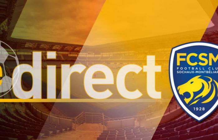 Direct. Le FC Sochaux affronte le leader Concarneau à Bonal, suivez avec nous la rencontre