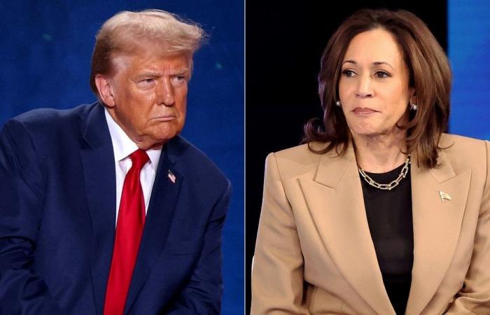 quand le duel Trump-Harris s’exporte en France