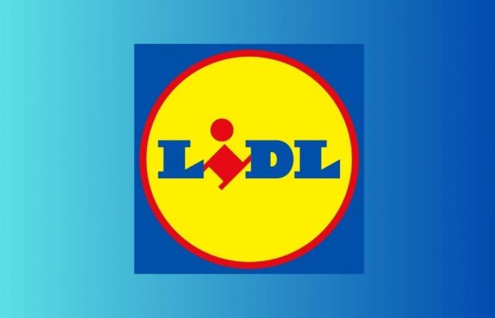 Lidl frappe fort avec ces 3 offres Parkside à des prix inédits