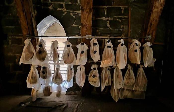 Des jambons séchés dans une cathédrale du Cantal ? Rachida Dati dit oui !