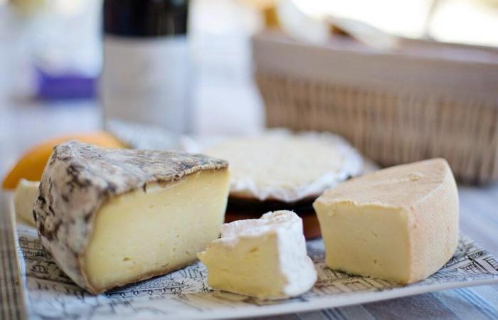 Rappel de fromages Mont d’Or en raison d’un risque de salmonelle