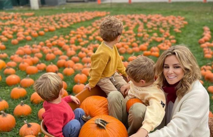 L’énorme ranch du Connecticut de Richard Gere et de sa femme Alejandra qu’ils laissent derrière eux