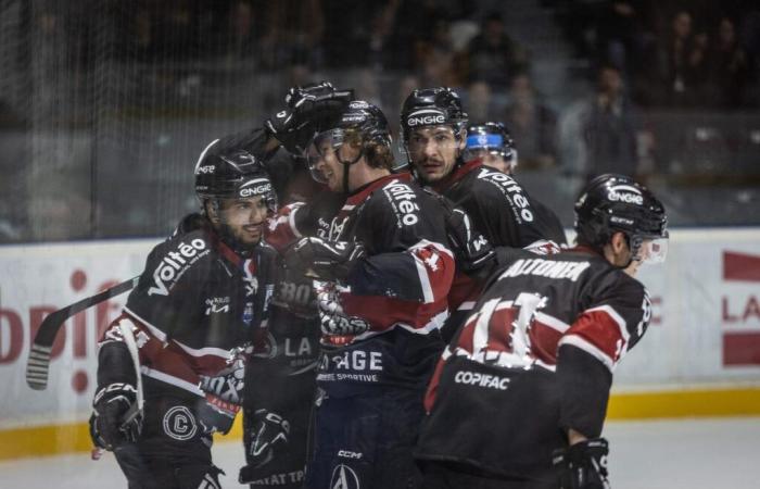 les Boxers tombent contre le champion