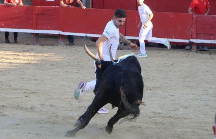 Un siffleur haut de gamme lors de la finale au top du Main d’Or