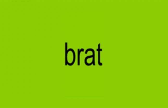 « Brat » élu mot de l’année par le dictionnaire Collins, qui modifie sa définition après l’album de Charli XCX