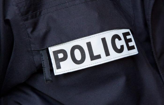 four arrests after car fires in Rillieux-la-Pape