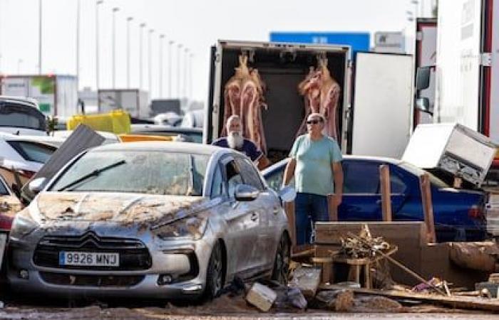 Une aube de pillages, de voitures flottantes et de 12 chevaux déshydratés dans la zone commerciale d’Alfafar