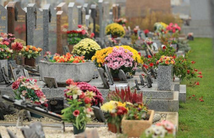 pourquoi le 1er novembre est-il un jour férié et que fête-t-on ?