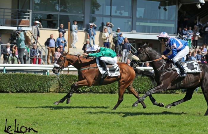 Le meeting du Grand Prix de Nantes, rendez-vous incontournable de la rentrée compétitive, à suivre en Facebook Live à partir de 11h40.