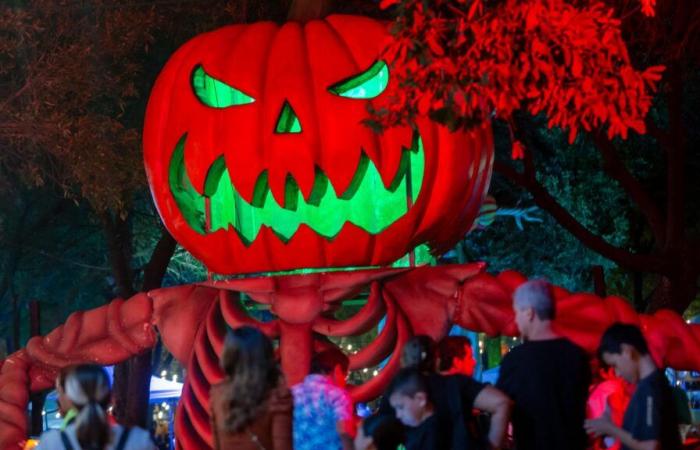 La nuit d’Halloween à Dublin tourne au chaos à cause d’une mauvaise farce