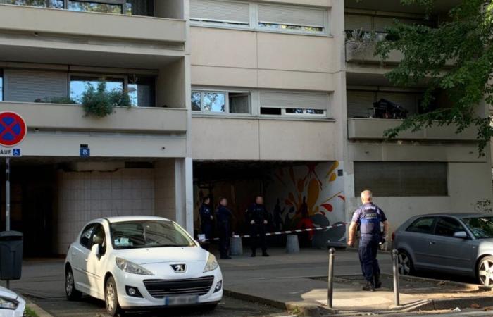 un homme retrouvé mort d’une balle dans la tête au Tonkin