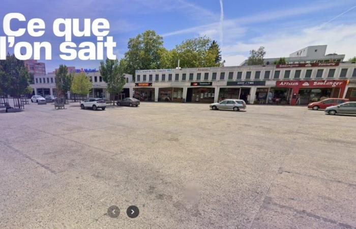 Ce que l’on sait de la fusillade et de la rixe impliquant « plusieurs centaines de personnes » à Poitiers