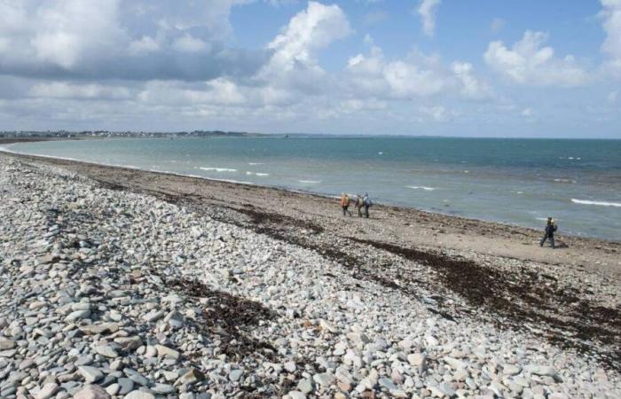 Piégés par la marée, des randonneurs secourus en bateau dans les Côtes-d’Armor