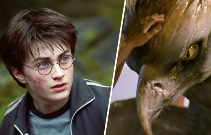 Les fans d’Harry Potter ne sont pas gênés par l’annulation officielle – Harry Potter