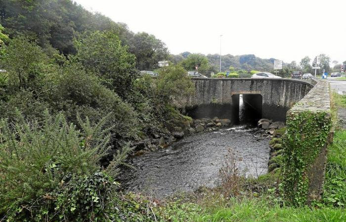 Après une pollution à Plouvien, le préfet du Finistère donne un mois à Sill pour se mettre en conformité