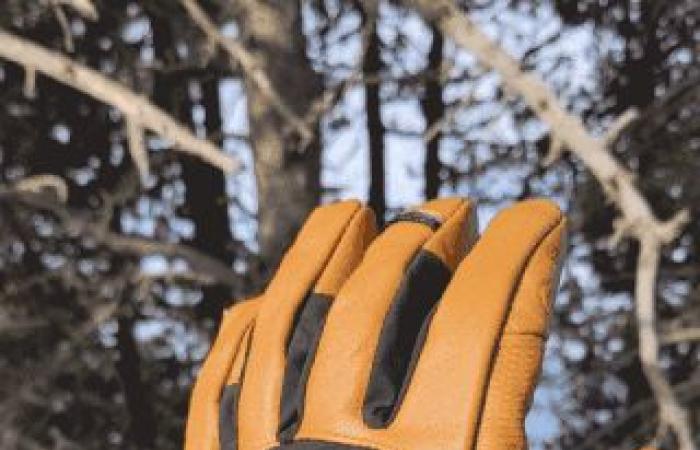 Test et revue des gants cuir MT900 Forclaz — ridepark