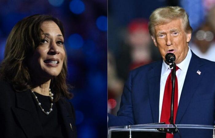 le scénario déroutant d’une égalité parfaite entre Donald Trump et Kamala Harris