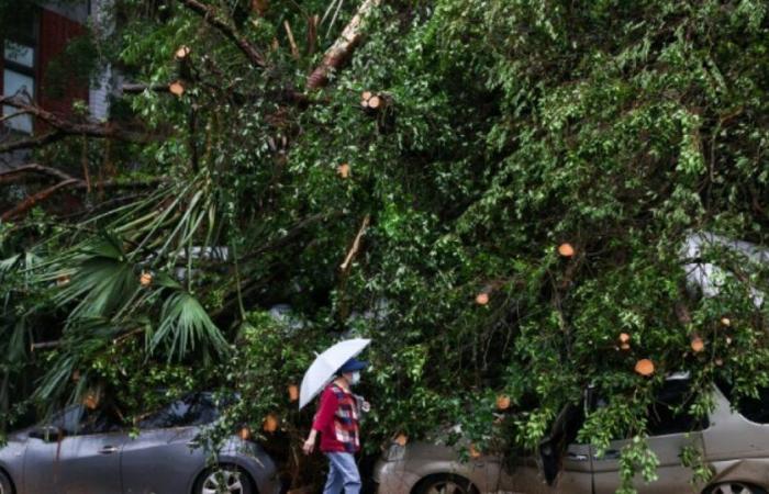 Deux morts et plus de 500 blessés après le passage du typhon Kong-rey à Taiwan