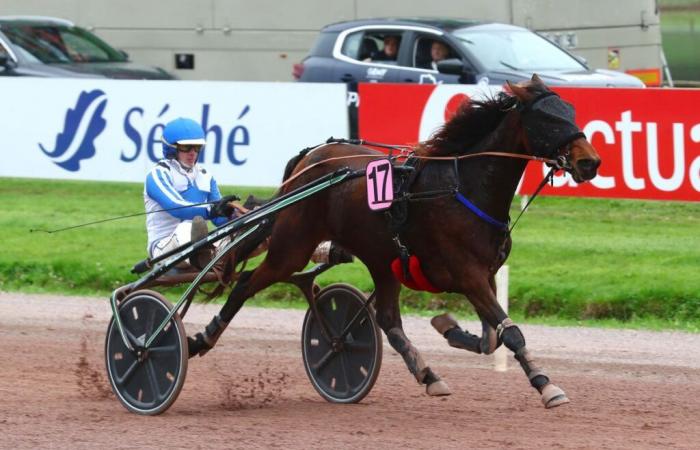 Laval : Lilas Castelle avec brio